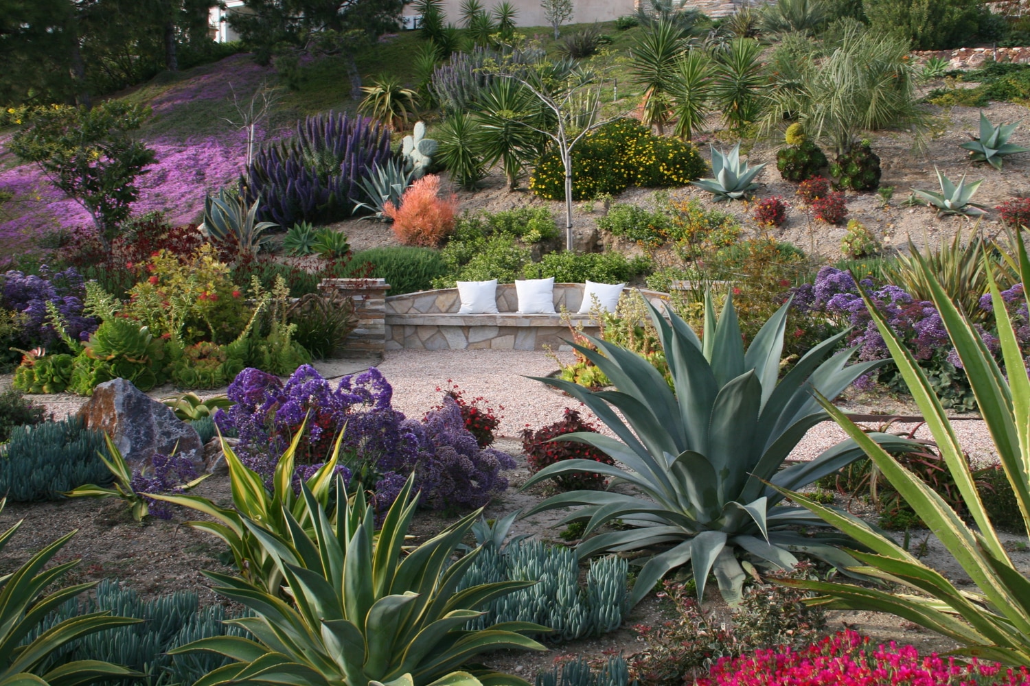 Laurie's Landscaping Project