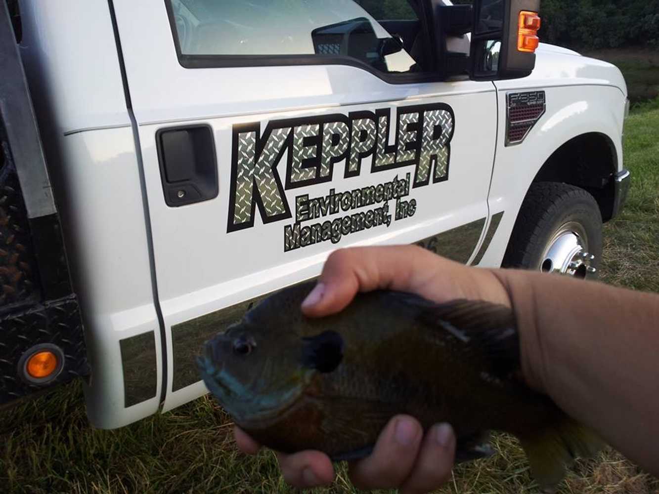 Photo(s) from Keppler Environmental Management Inc