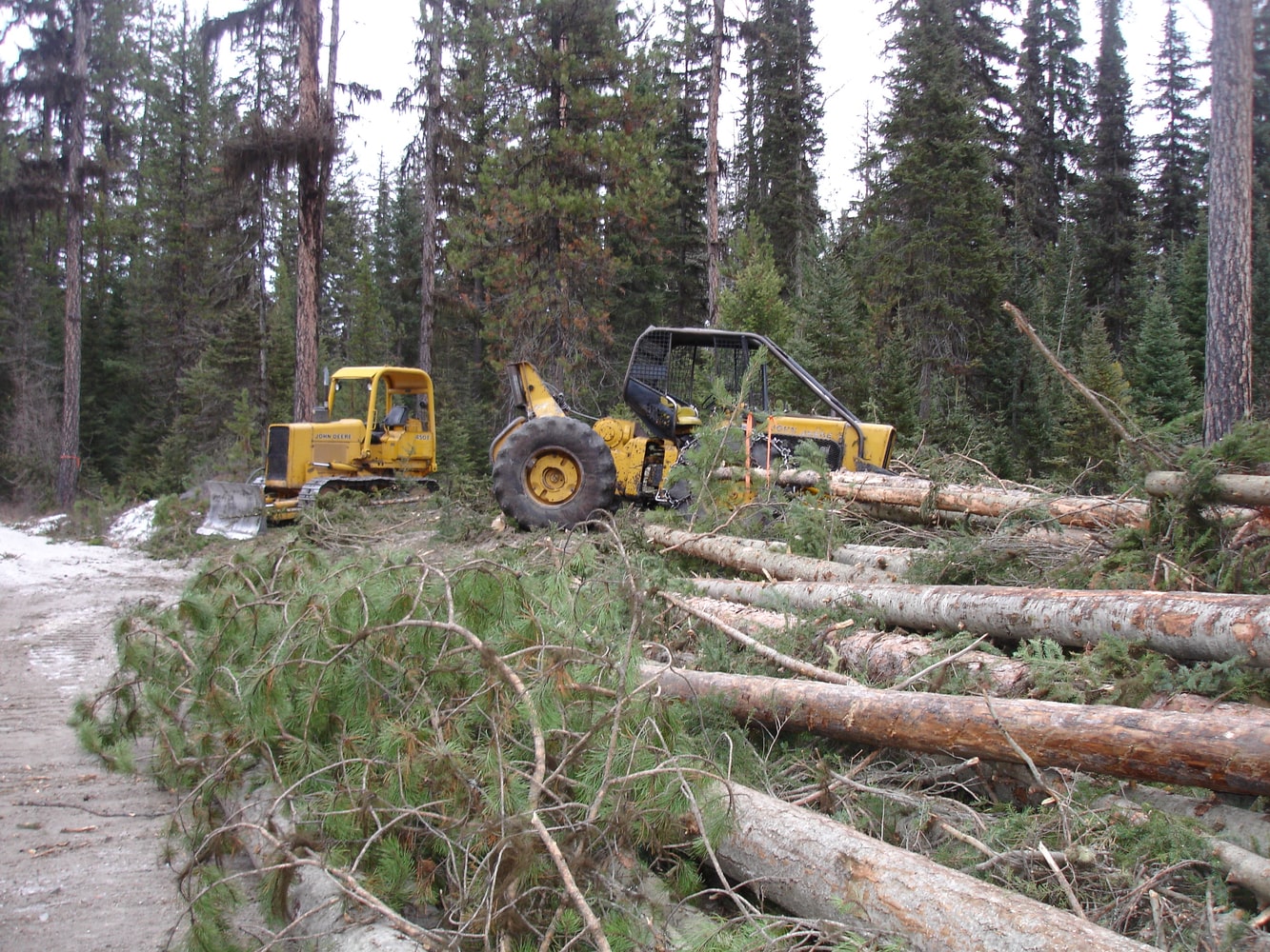 Wilderness Building Systems Project