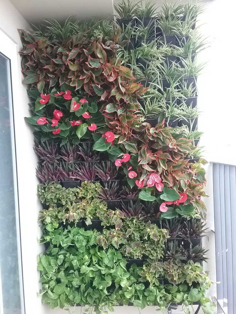 Vertical Gardens