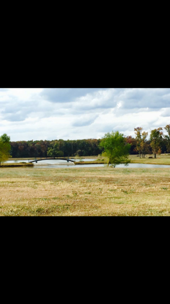 Photo(s) from Preston Green Home Builders, Inc.