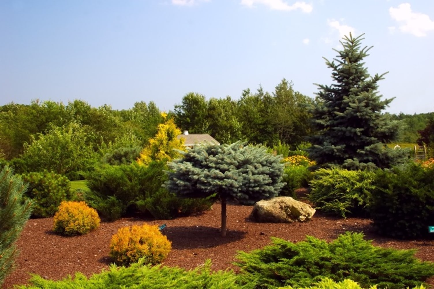 Photo(s) from New West Landscape Management Inc