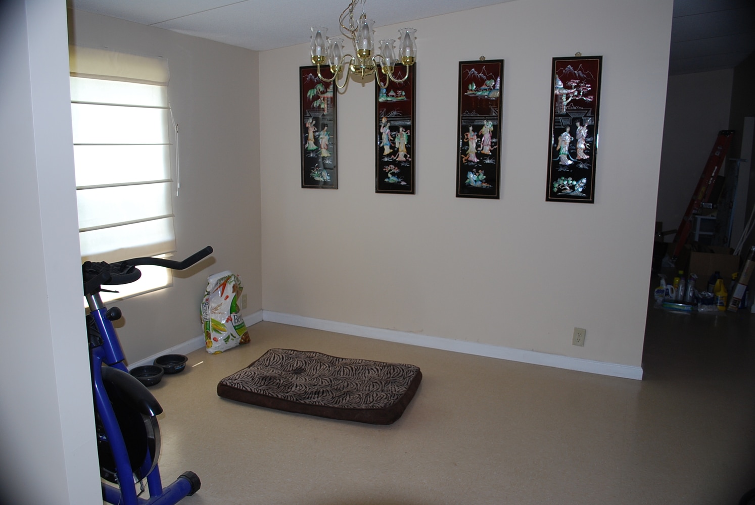 Complete renovation due to mold infestation. 