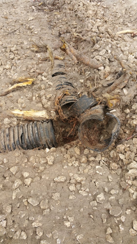 Septic Tanks and DrainFields