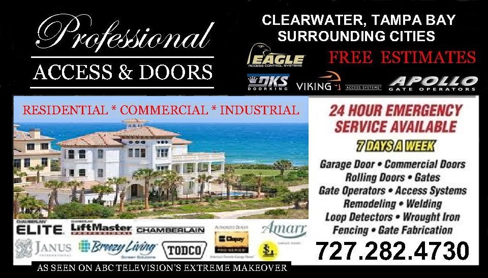 PROFESSIONAL ACCESS & DOORS