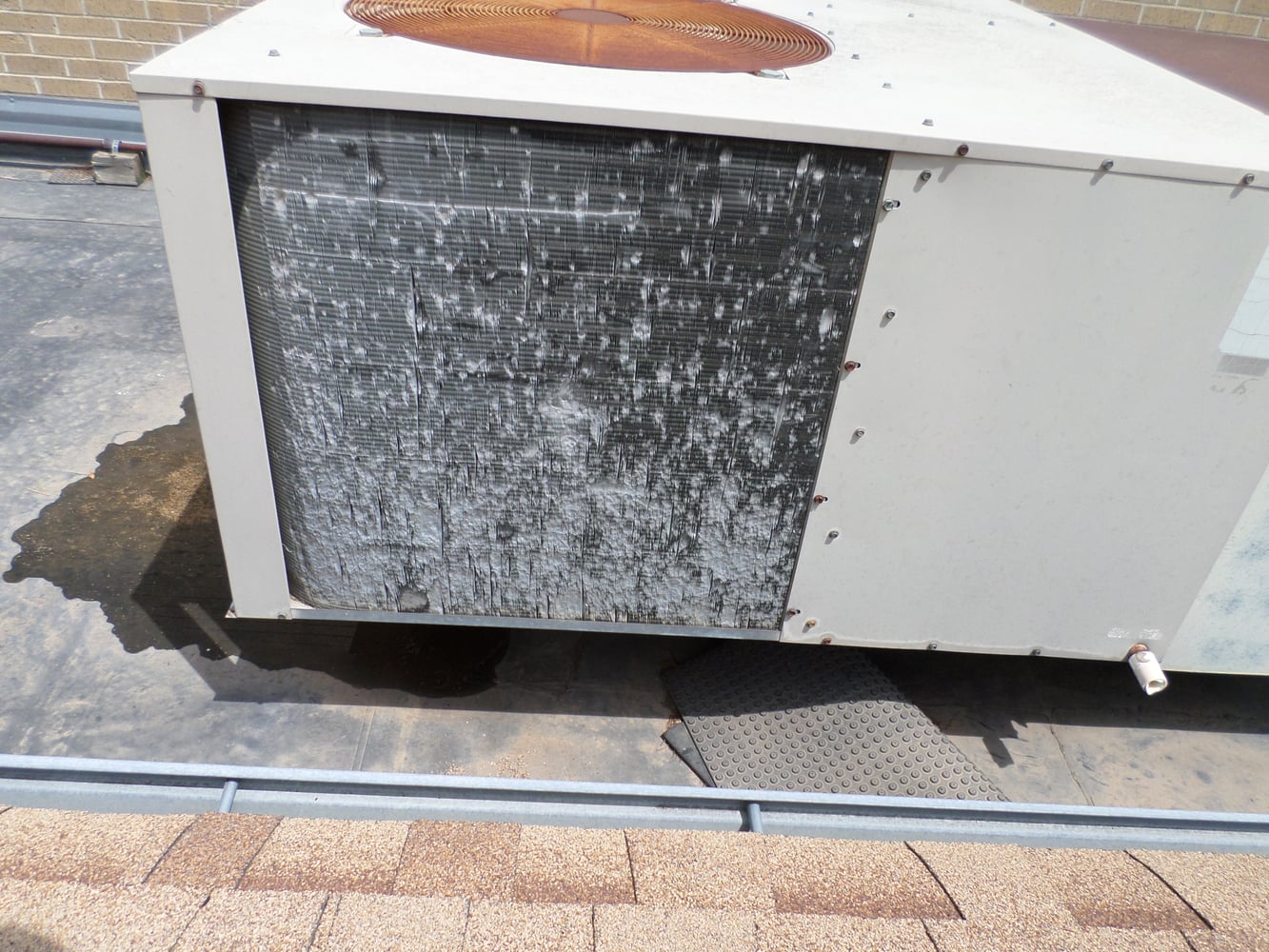 Photo(s) from Elite Construction LLC