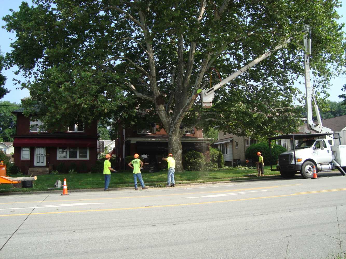 Photo(s) from Vaughan's Tree Service Inc