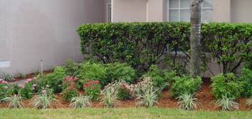 Weather Tree And Landscaping Service, All Weather Tree And Landscaping