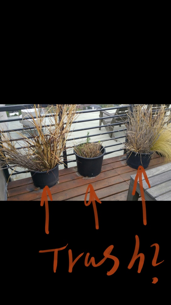 Rooftop Hollywod Hills