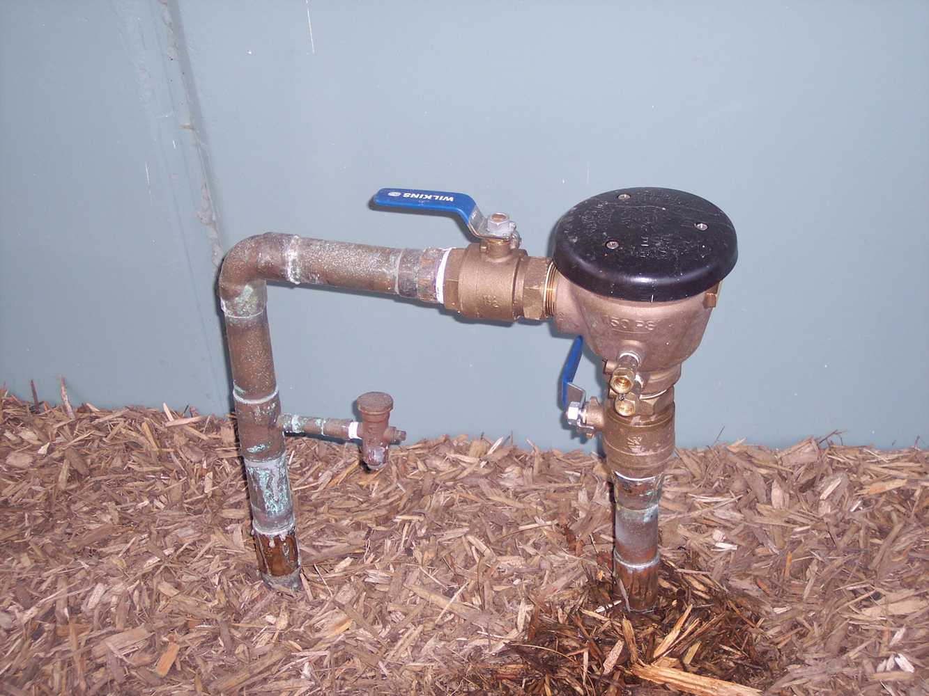 Backflow Prevention