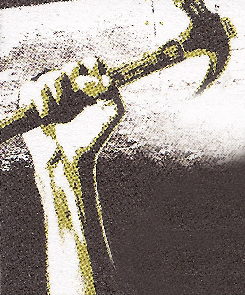 California Dream Construction Inc