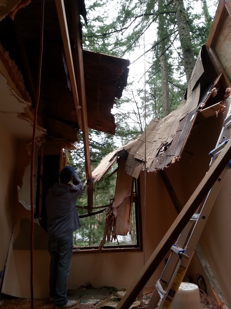 Photo(s) from Silver Square Homes Llc