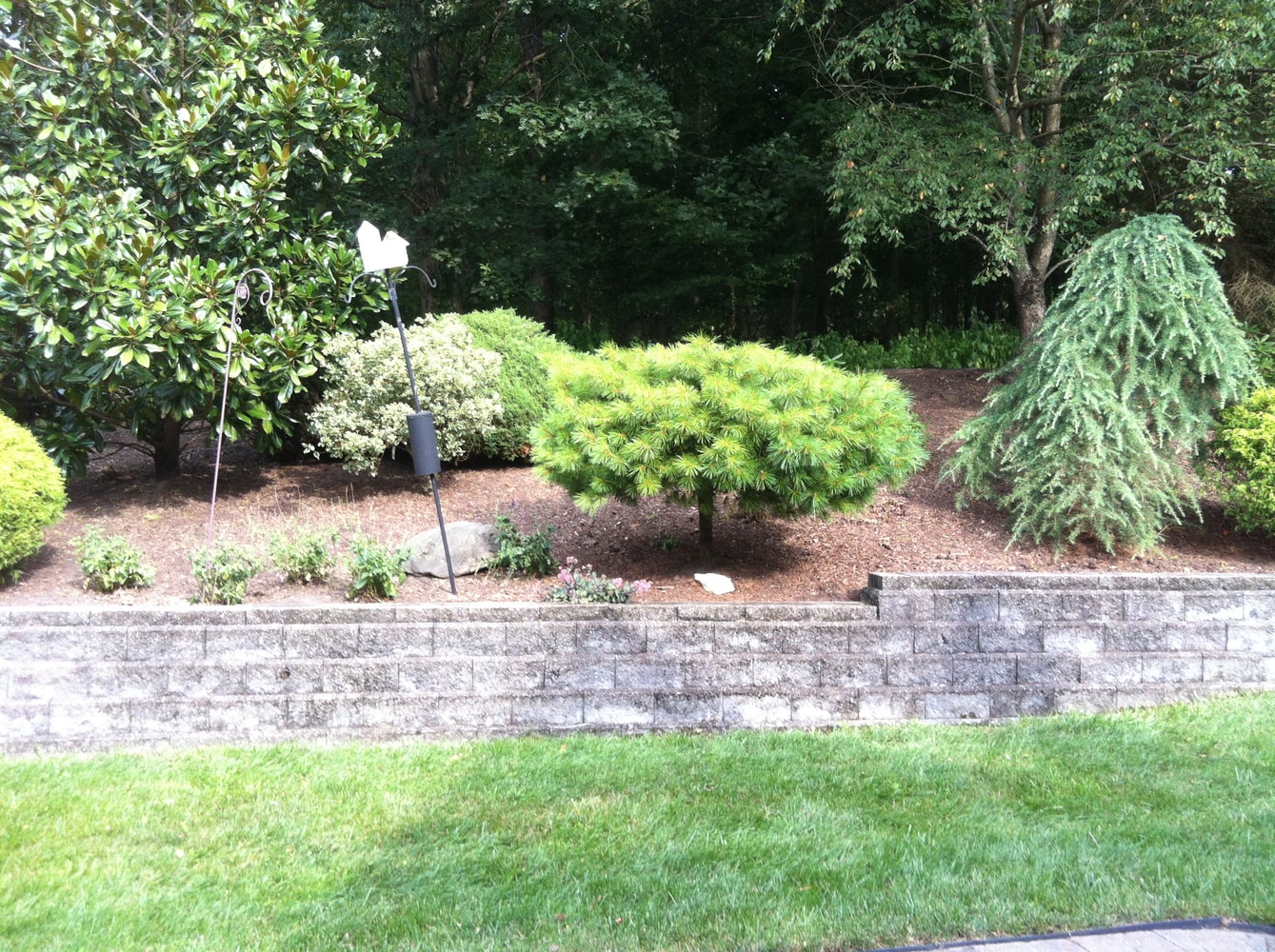 Photos from Superior Land Care Inc