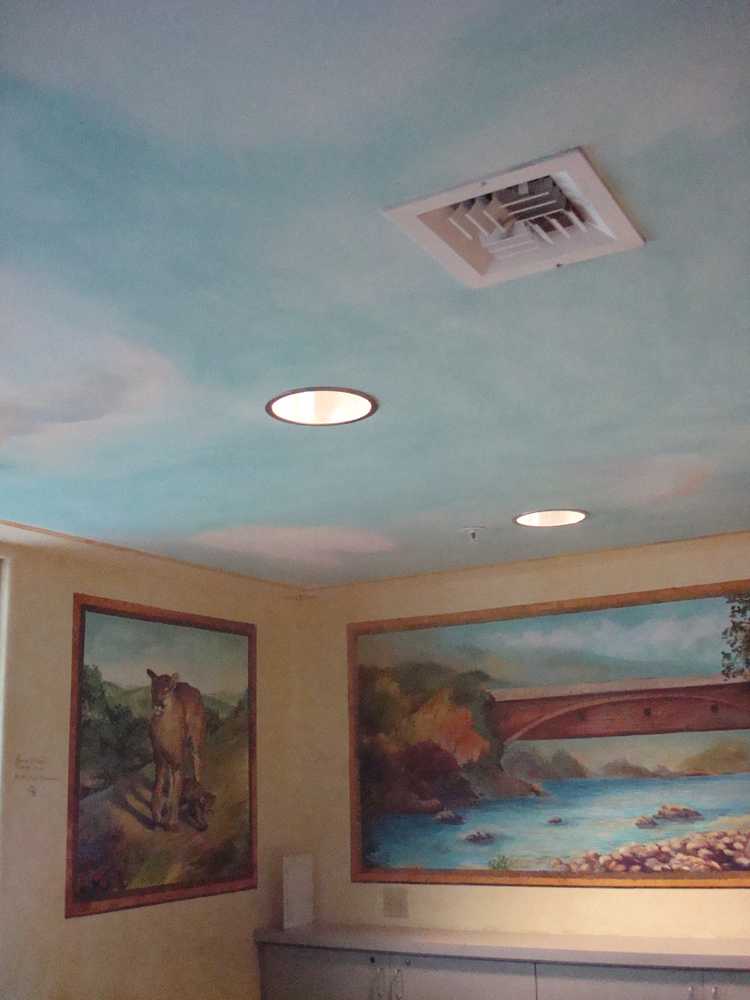 Wall Murals and Faux Painting
