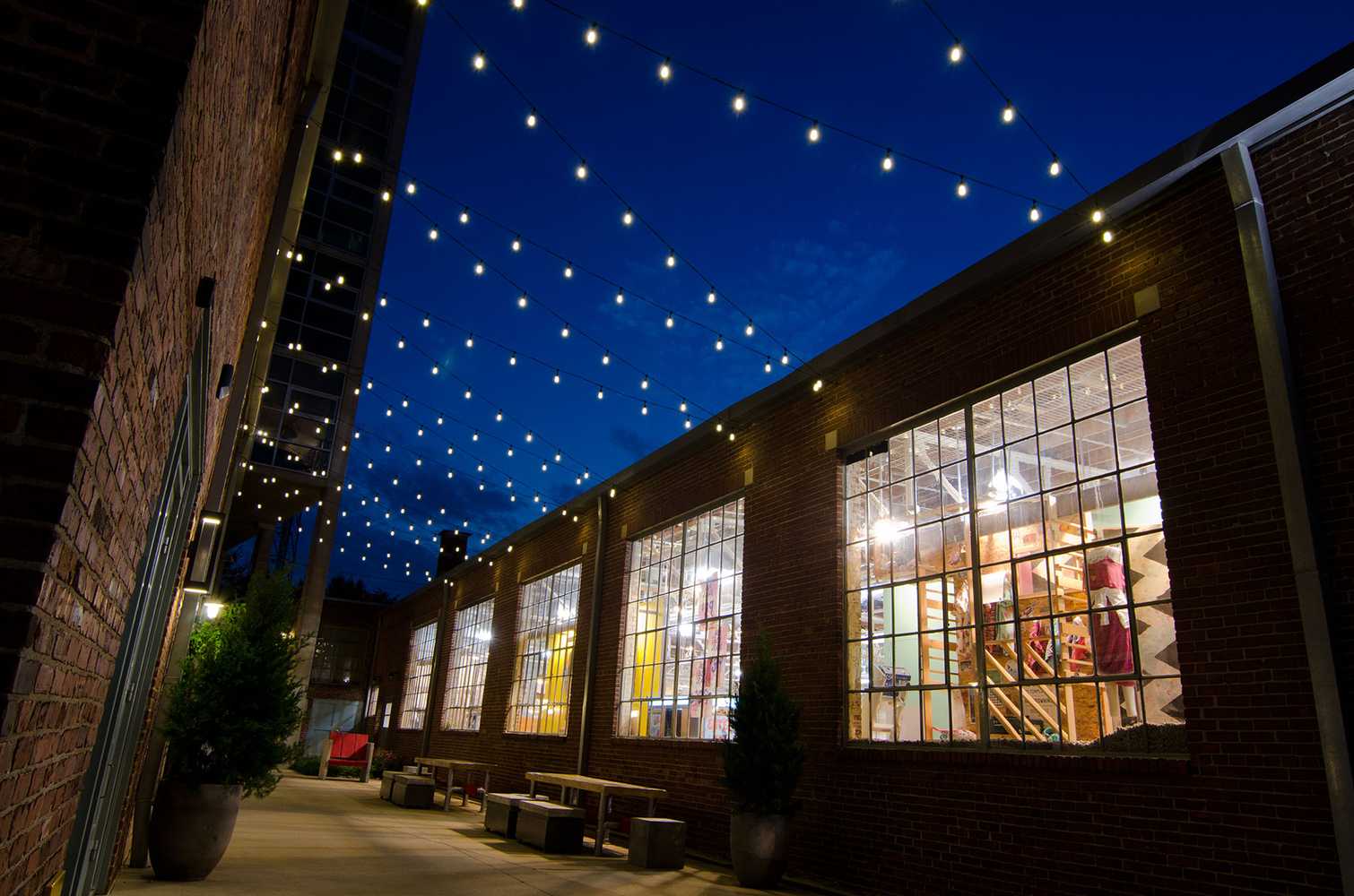 Festive & String Lighting