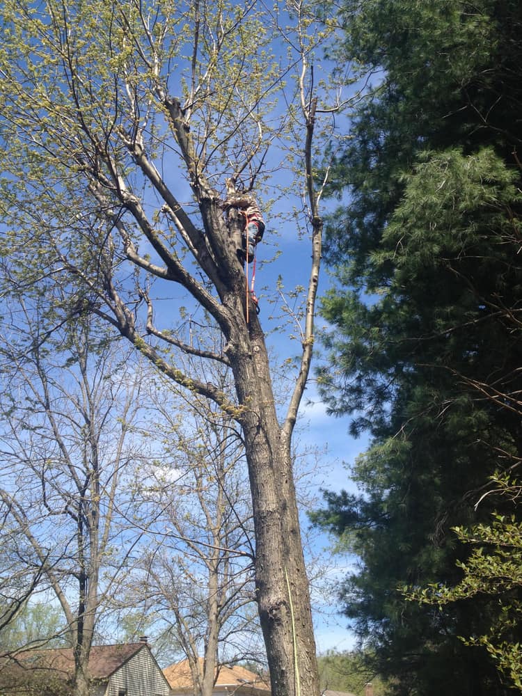 Photo(s) from Reeves Contracting