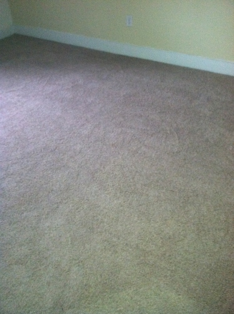 Photo(s) from Lavira Corp