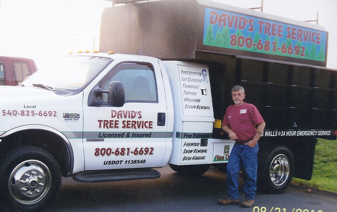 David's Tree Service and Landscaping LLC