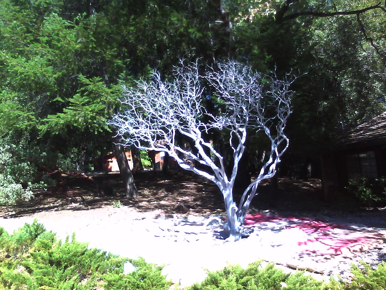 A Touch Of Color Custom Painting Photos