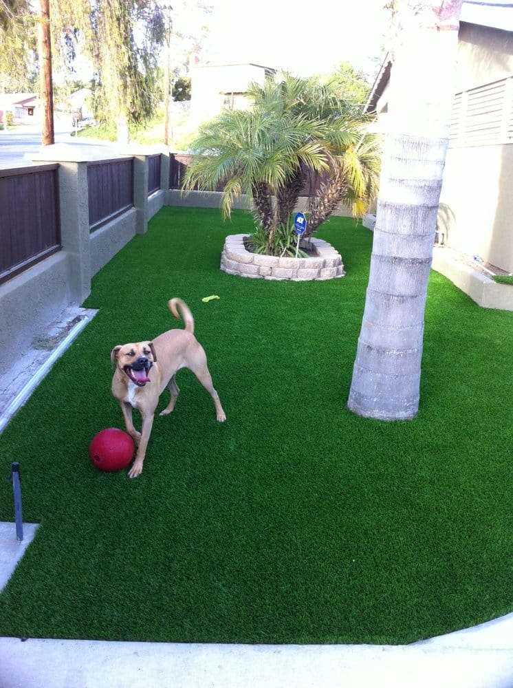 Drought Resistant Landscape Ideas