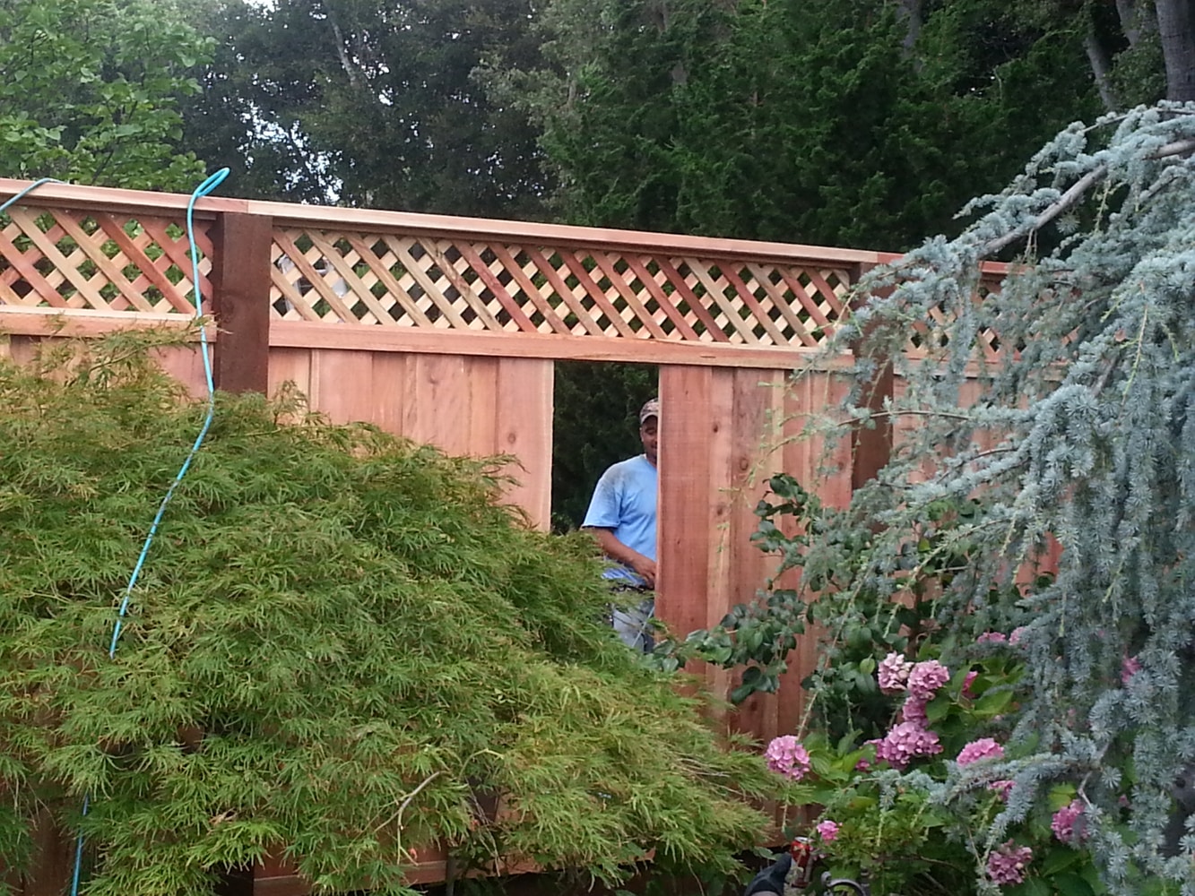 Los Gatos Fence Company Project