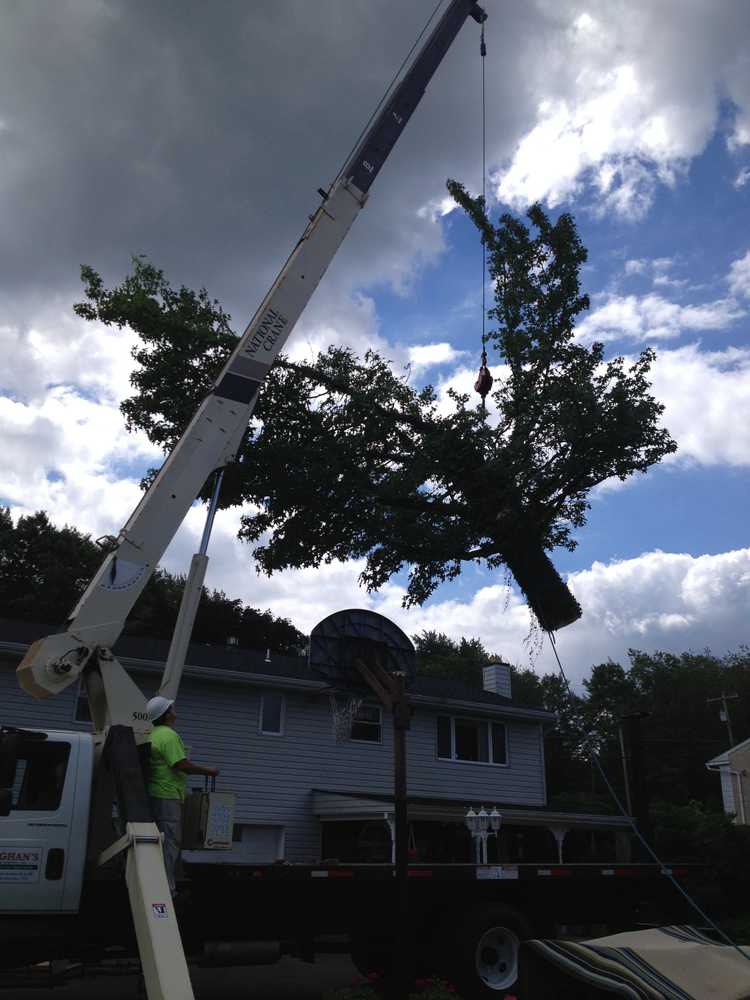 Photo(s) from Vaughan's Tree Service Inc