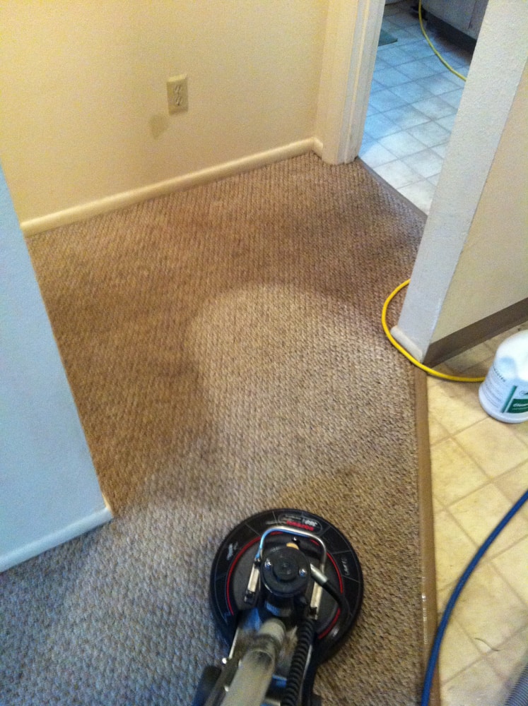 Project photos from Johnson Floor Care