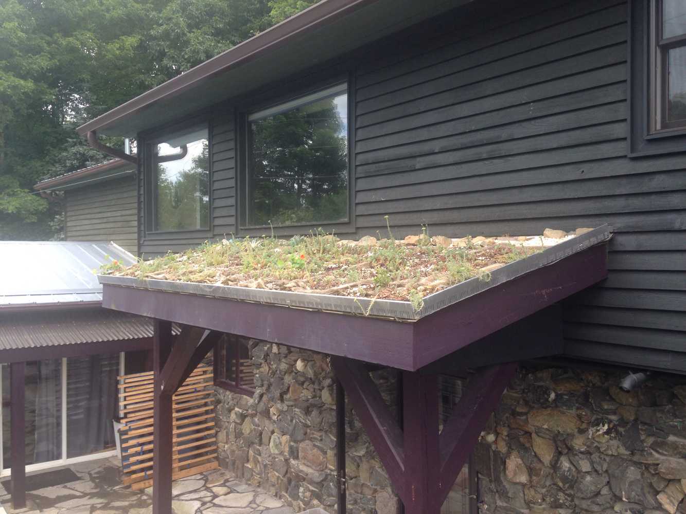 Vegetated Roofs