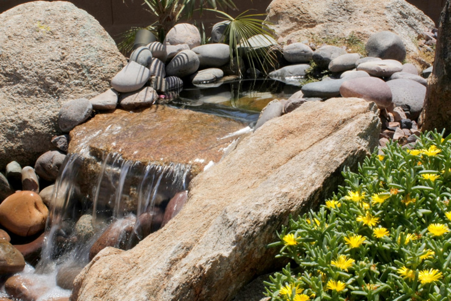 Arizona Homescapes Project 1