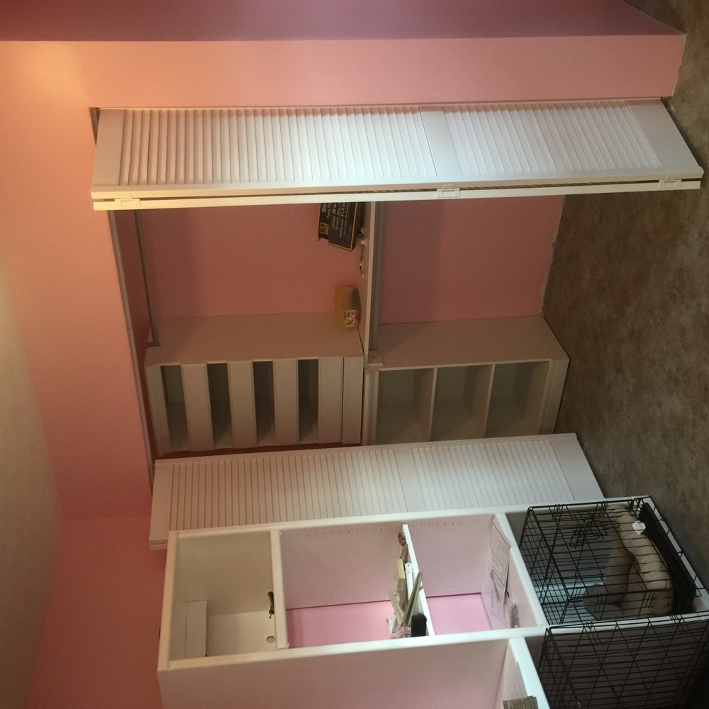 Photos from Moses Renovations