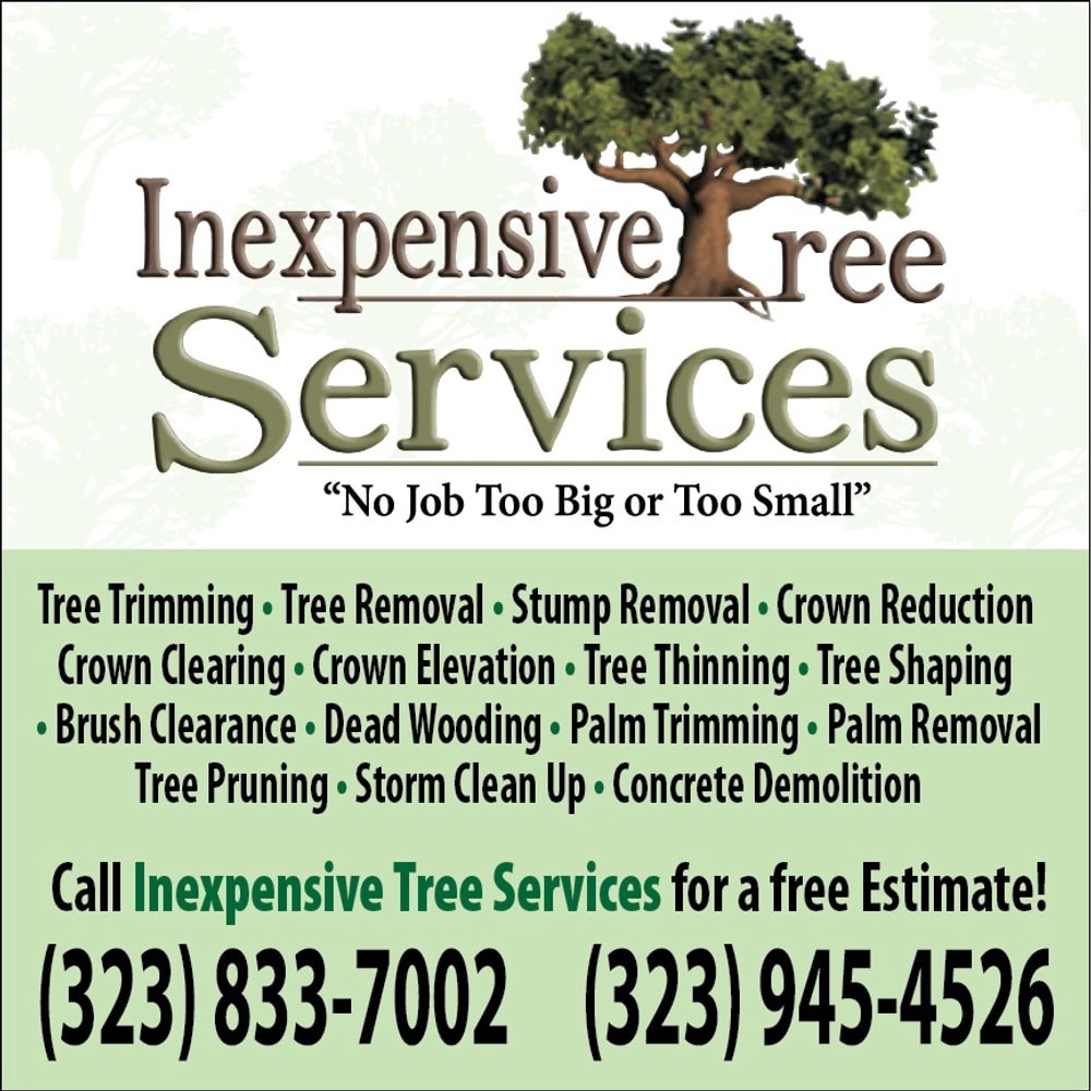 Inexpensve Tree Services Inc Project 1