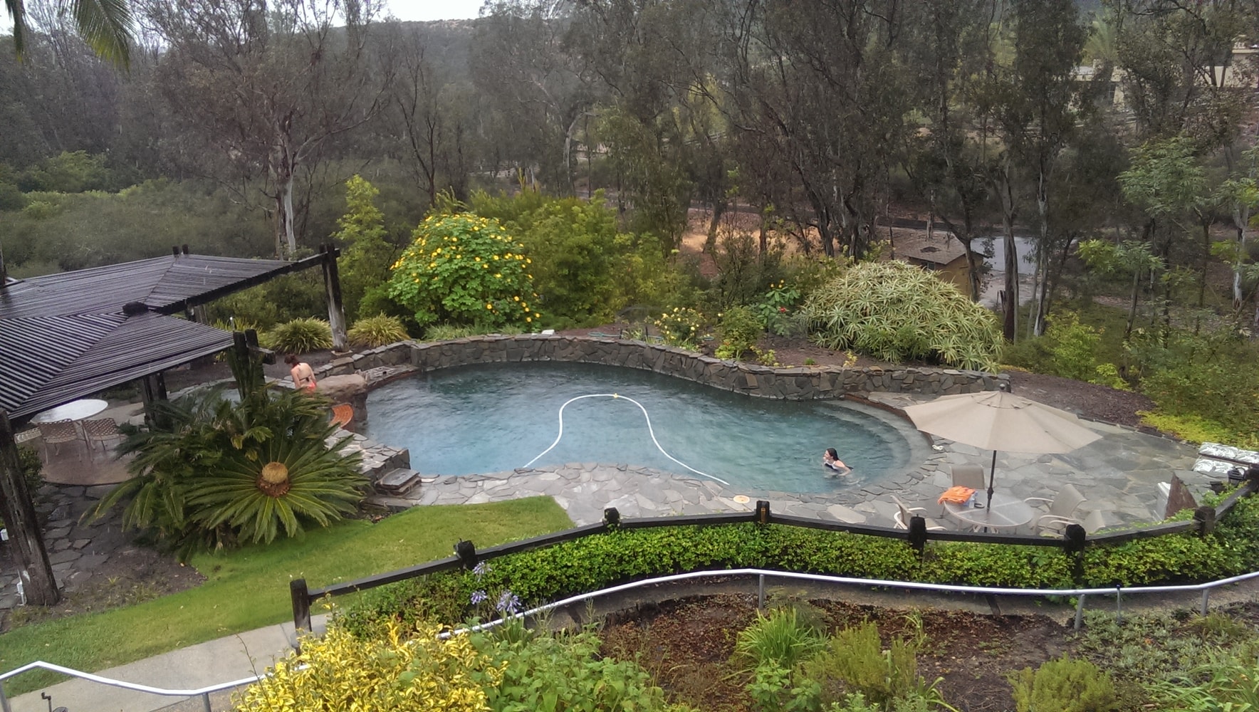 Photo(s) from L E Fence