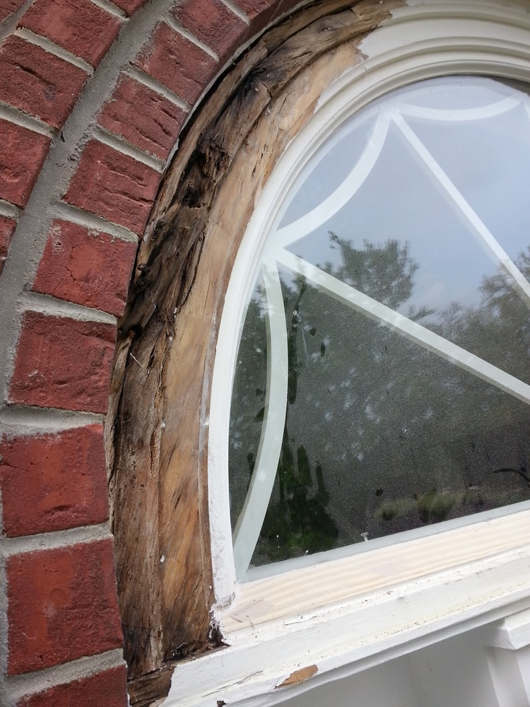 Photo(s) from The Low Country House Doctor