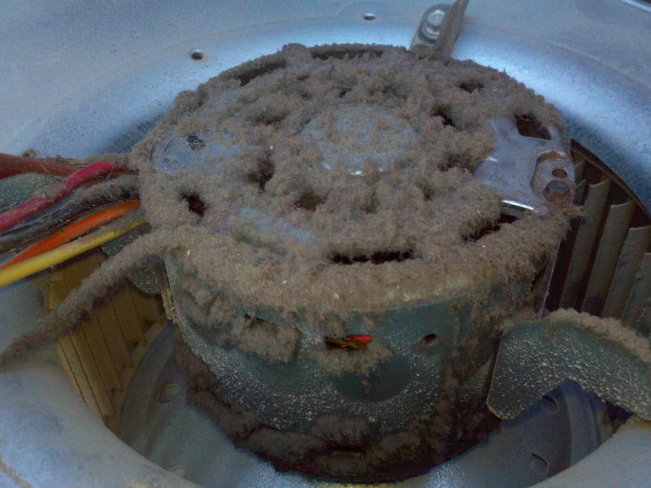 Before and After Pictures