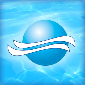 Pool Pros Inc