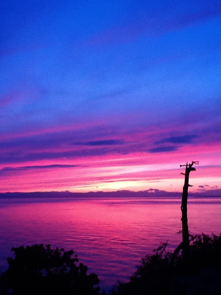 Northern Lights Painting Inc