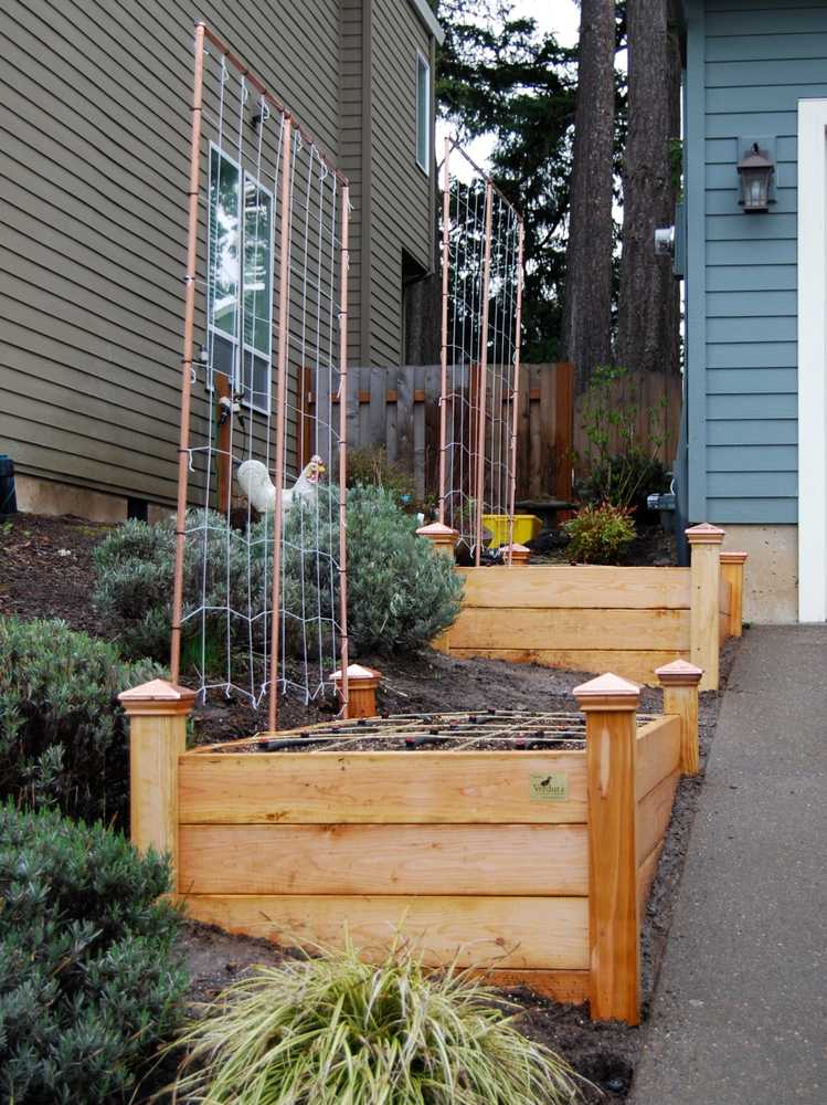 Front yard garden