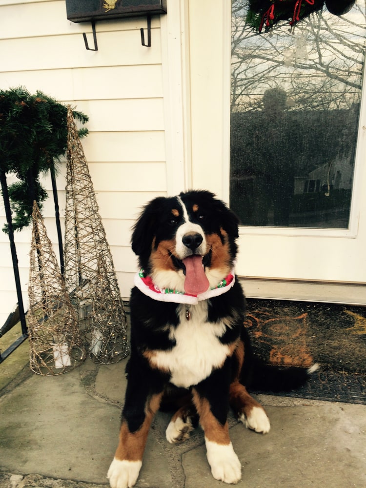 Photos from Kevin Browning Plumbing And Heating