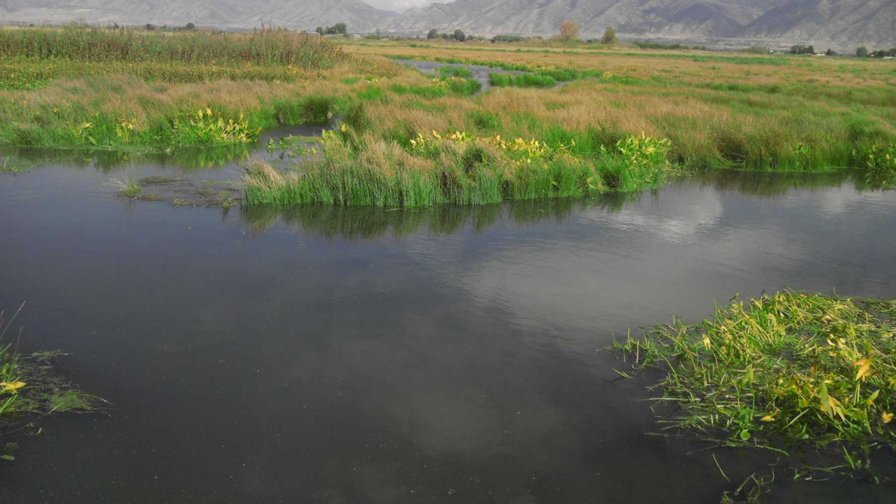 Kelson, Cardon, Ogden River Restoration & Wetland 