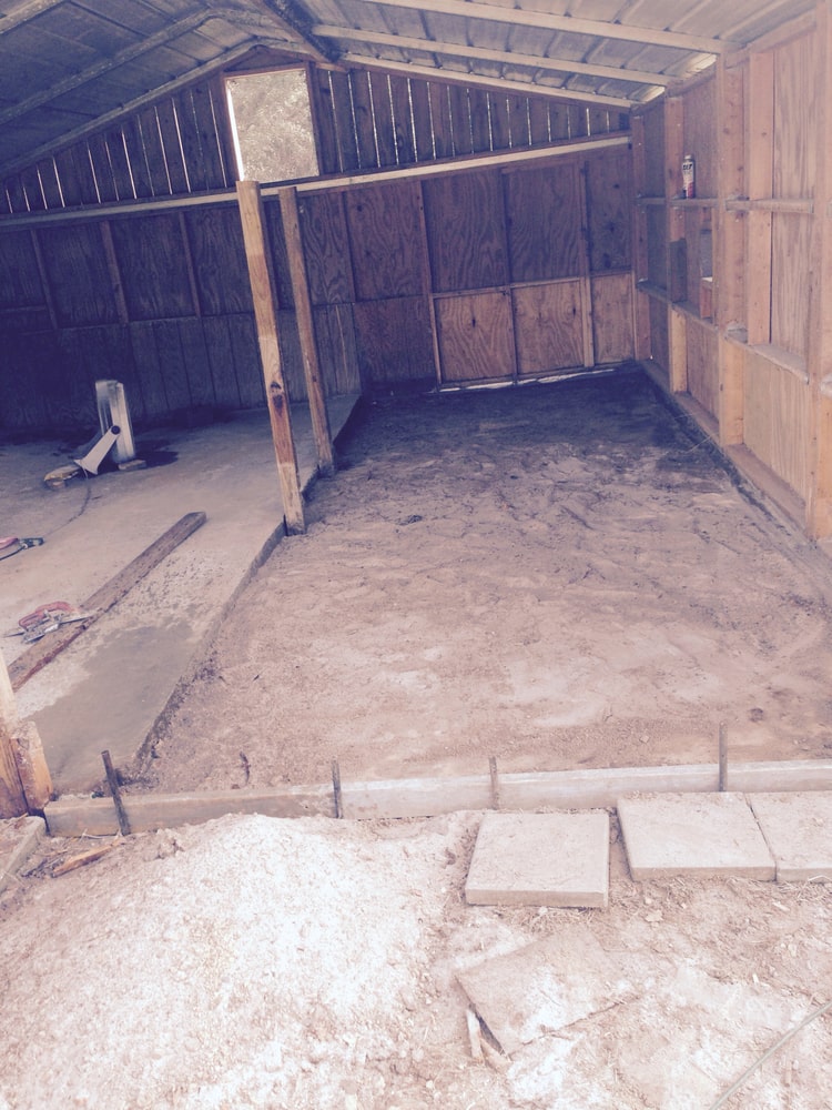 Project paradise construction 