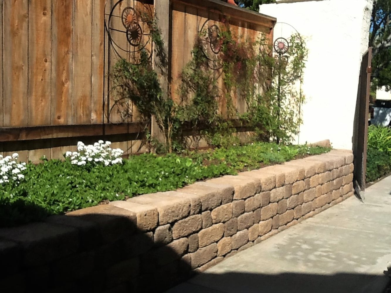 Photos from Newcomb Tree Experts Inc