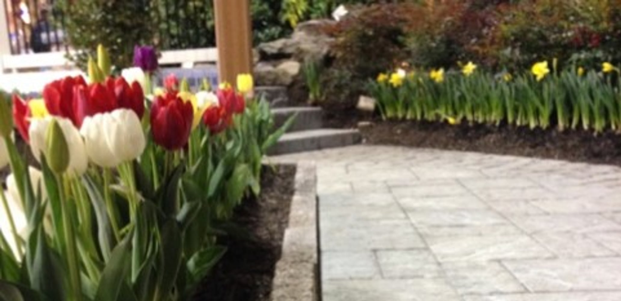 Photo(s) from Chesapeake Landscapes, LLC