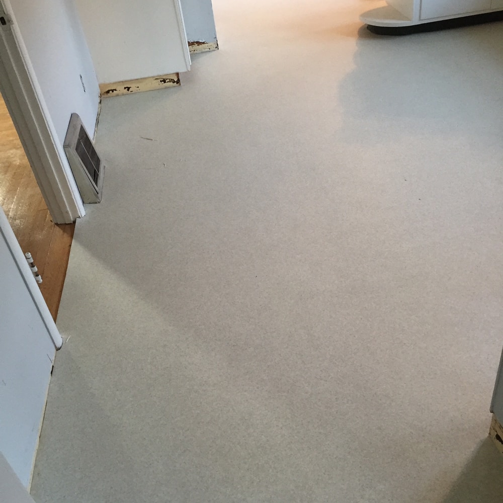 Hals Carpet & Vinyl Project