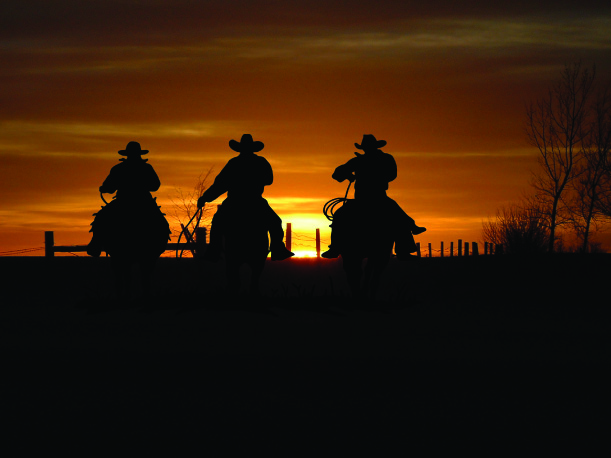 Cowboys Landscaping, Inc.