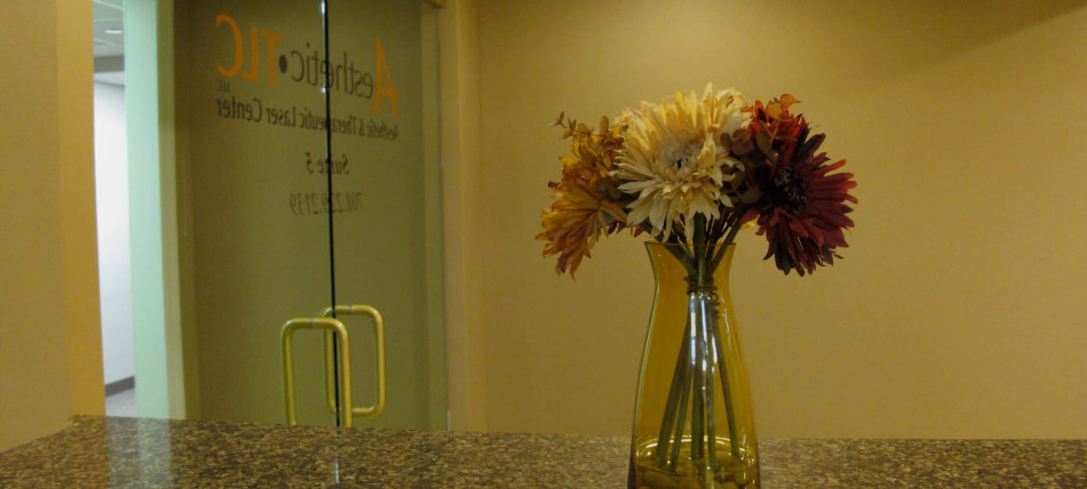 Aesthetic TLC - 104th & Southwest Hwy, Chicago Ridge, IL