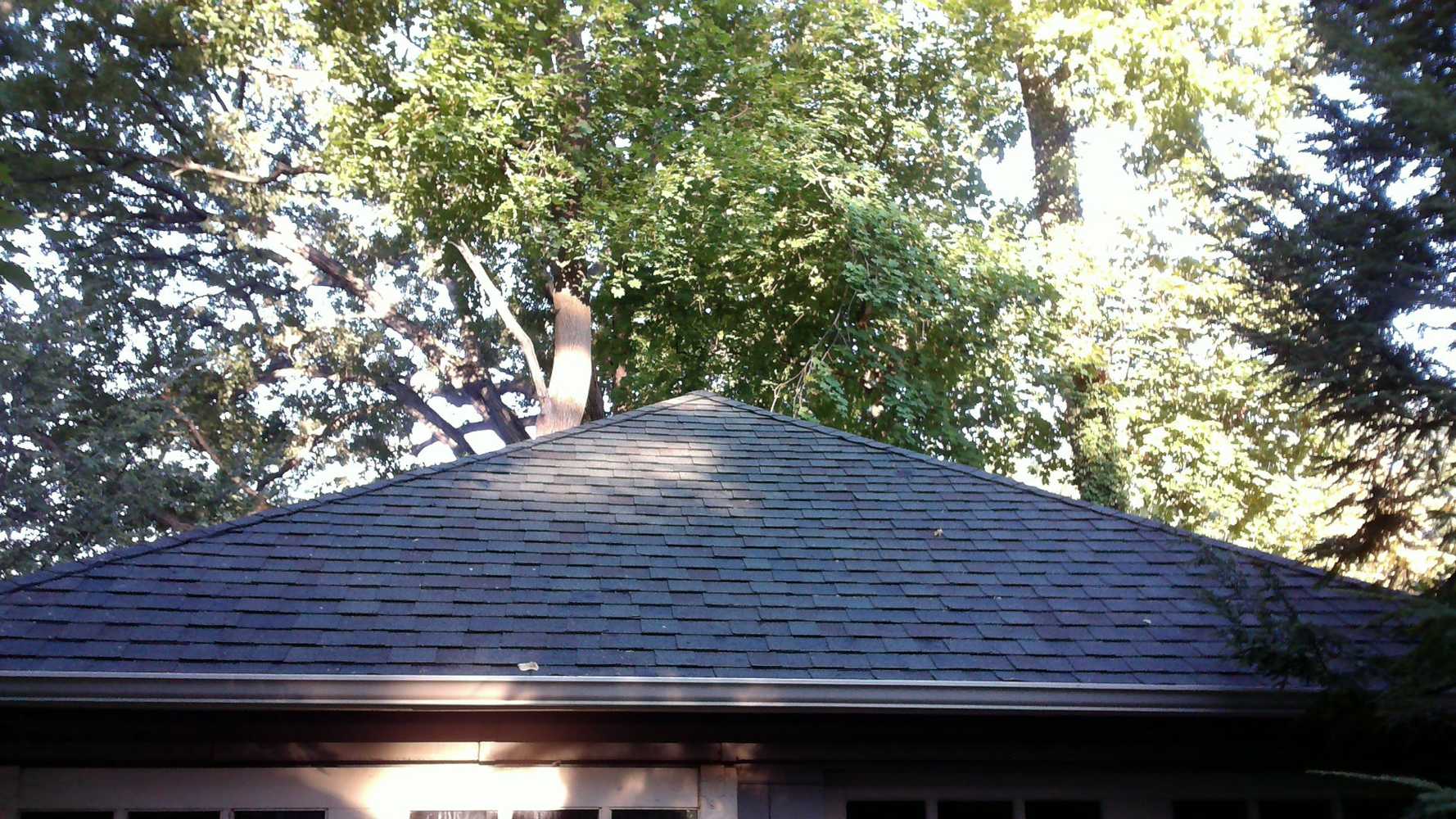 Roof Cleaning Restoration