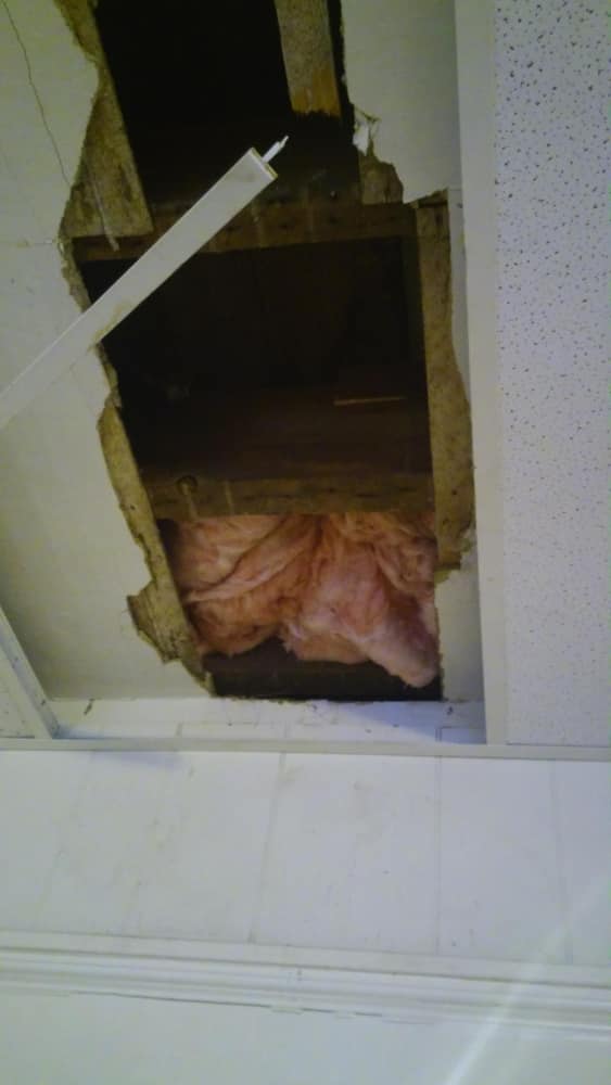 Photos from Mikes Hardcore Contracting