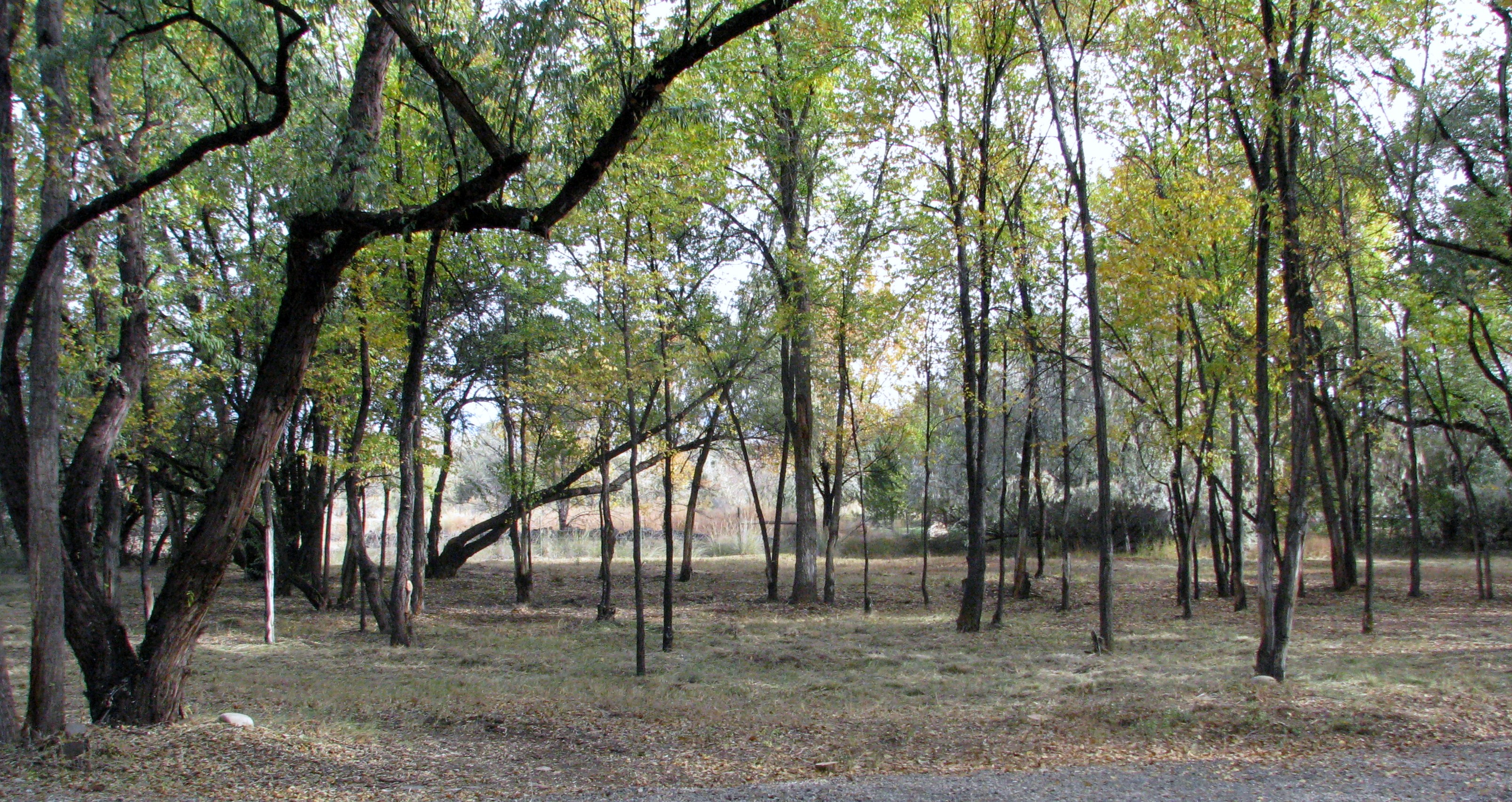 Nicks Mitigation Service