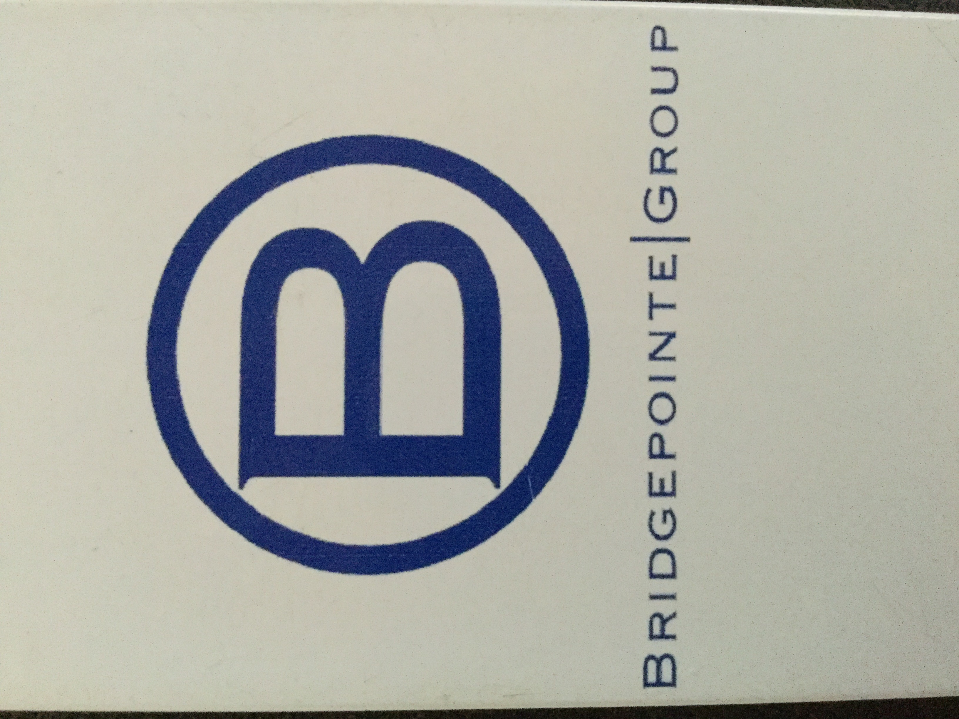 Bridgepointe Group Inc