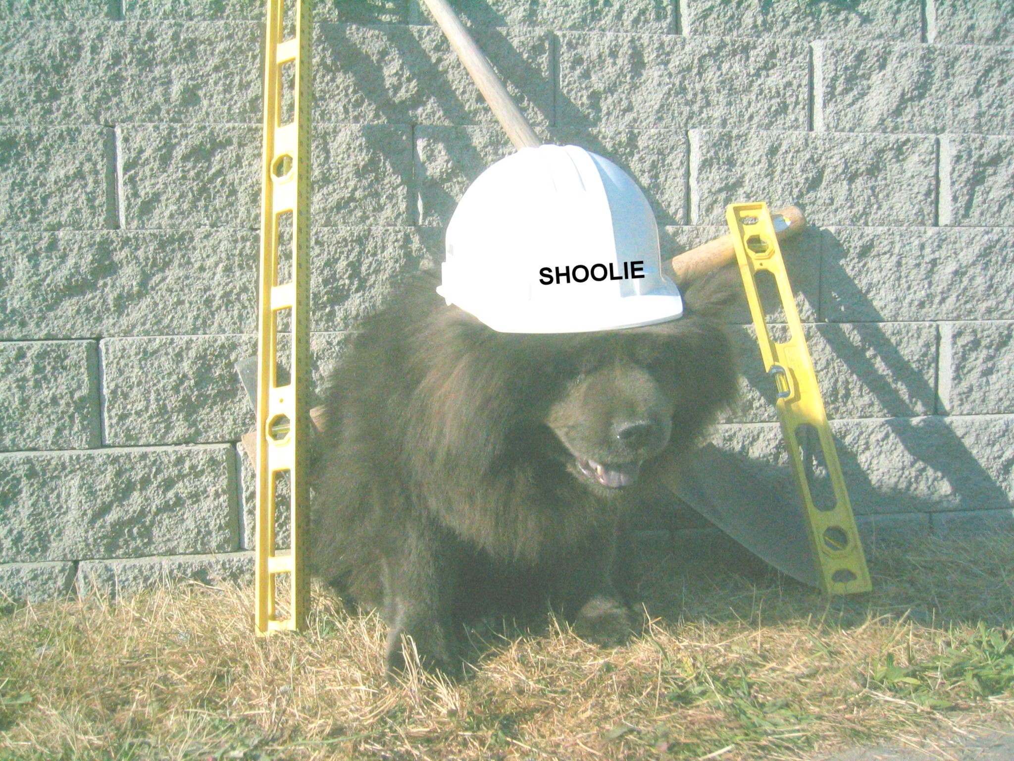 Nelsons Handyman Services Llc